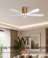 Carmel White & Gold 5-Blade Designer Ceiling Fan (WhiteTeak by Asian Paints)